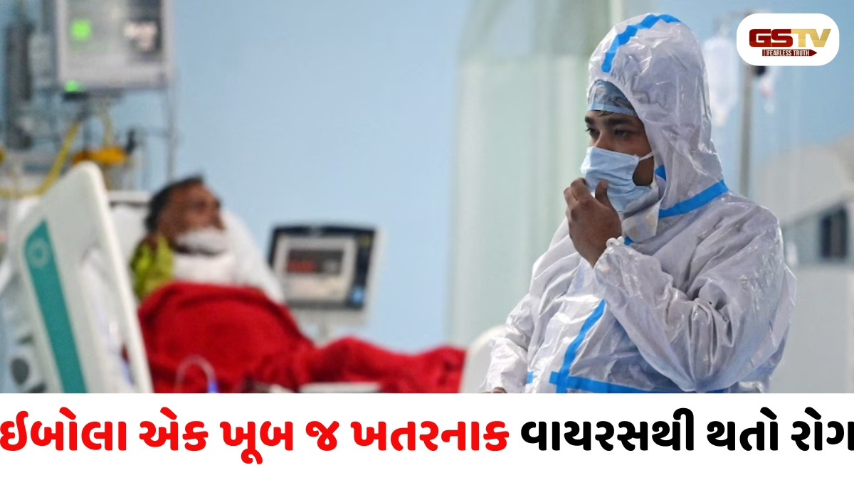 કોંગોમાં ઇબોલા વાયરસથી 80 લોકોના મોત; WHO એ વૈશ્વિક આરોગ્ય કટોકટી જાહેર કરી