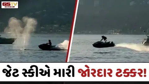 VIRAL VIDEO: વ્હેલ જોઈ રહ્યા હતા લોકો, ત્યારે જ જેટ સ્કીએ મારી જોરદાર ટક્કર!