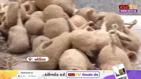 VIDEO: પક્ષીઓના સંરક્ષણ માટે ભુવનેશ્વર મ્યુનિસિપલ કોર્પોરેશનની અનોખી પહેલ; સુરક્ષિત આશ્રયસ્થાન, પાણી અને ખોરાકની સુવિધા કરાશે