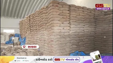 VIDEO : SAYLAમાં ટેકાના ભાવે ઘઉંની ખરીદી અધ્ધરતાલ: તંત્ર પાસે 'બારદાન' નથી, કાળઝાળ ગરમીમાં જગતનો તાત પરેશાન