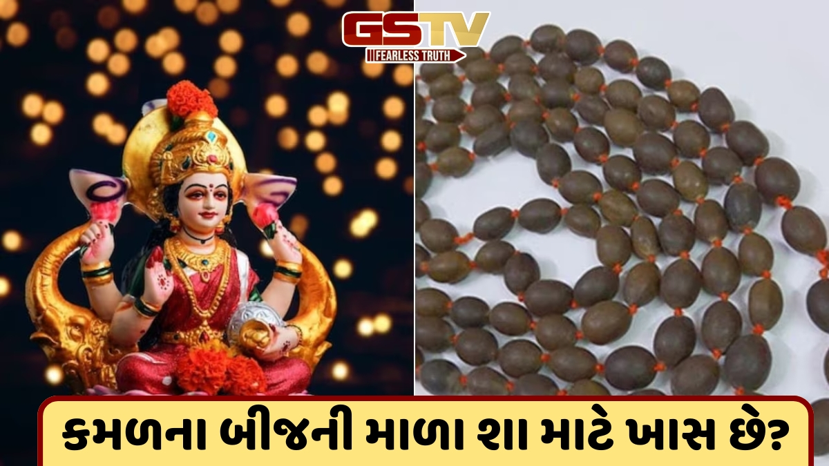 Religion: કમળના બીજની માળાથી દેવી લક્ષ્મીને કરો પ્રસન્ન, આ ઉપાય તમને બનાવશે ધનવાન!