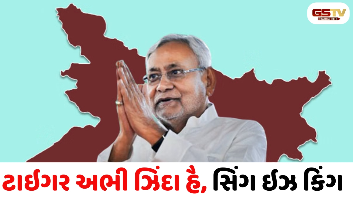 નીતિશ કુમારને જીવતા દફનાવી દીધા, JDU થેલા પાર્ટી બની ગઈ છે...', દિગ્ગજ નેતાના આકરા પ્રહાર