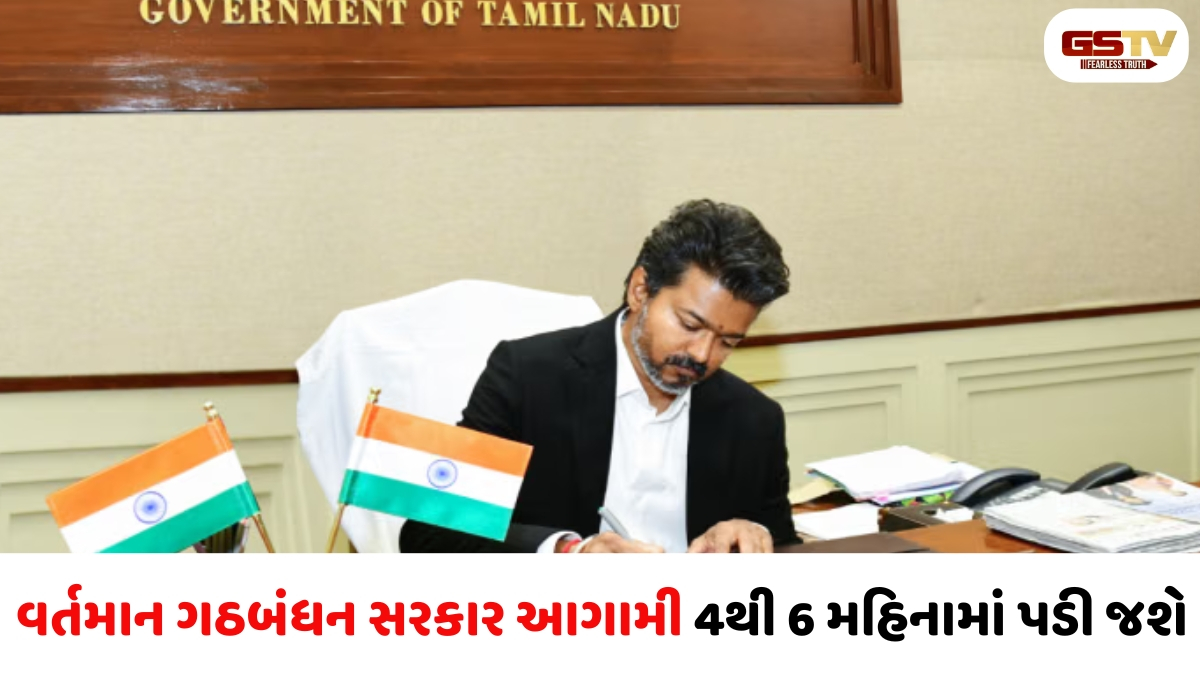 6 મહિનામાં વિજયની સરકાર પડી જશે અને...', તમિલનાડુના DMKના ધારાસભ્યે કરી ભવિષ્યવાણી