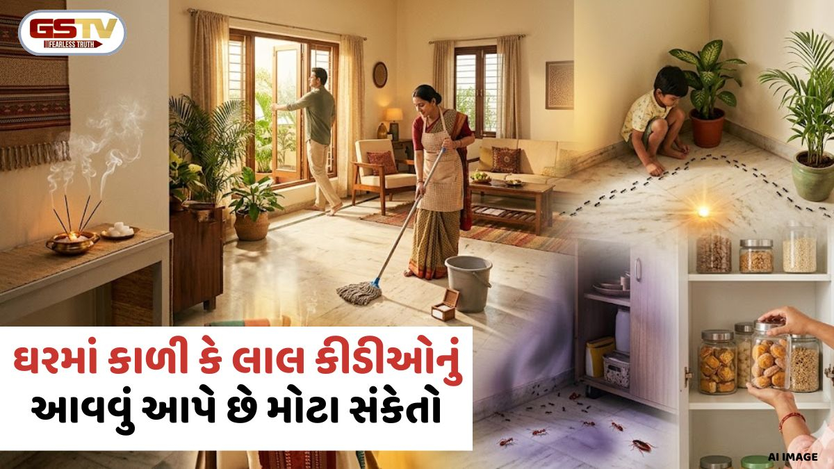 Vastu Tips: ઘરમાં કાળી કે લાલ કીડીઓનું આવવું આપે છે મોટા સંકેતો, મુશ્કેલીથી બચવા આજે જ કરો આ ઉપાય