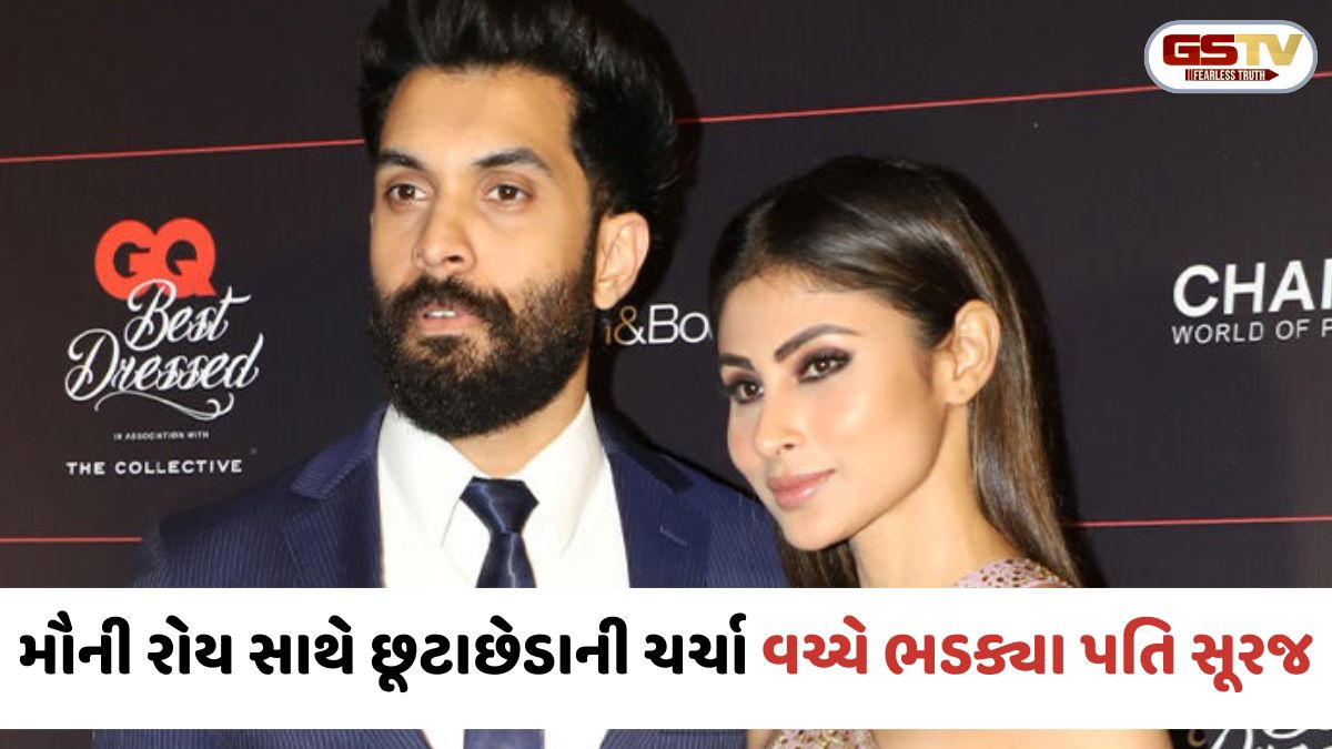 નિર્દોષ મિત્રોને આમાં વચ્ચે ન લાવો; મૌની રોય સાથે છૂટાછેડાની જાહેરાત બાદ સૂરજ નામ્બિયાર ભડક્યા