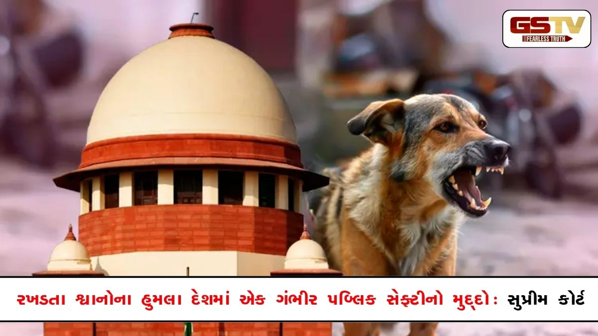 દેશના દરેક નાગરિકને શ્વાનના ભય વિના હરવા ફરવાનો અધિકાર, જરૂર પડે તો હિંસક શ્વાનોને 'દયા મૃત્યુ' આપો: SCનો આદેશ