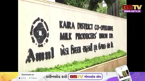 VIDEO: અમૂલ ડેરીએ પશુપાલકોને આપી મોટી રાહત, દૂધ ખરીદીના ભાવમાં પ્રતિ કિલો ફેટે 10 રૂપિયાનો કર્યો વધારો
