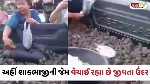 VIRAL VIDEO: આ કેવી માર્કેટ, અહીં શાકભાજીની જેમ વેચાઈ રહ્યા છે જીવતા ઉંદર; વીડિયો જોઈ લોકો ચોંક્યા