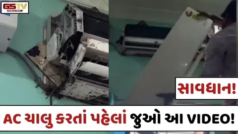 VIRAL VIDEO: AC ખોલતાં જ આ શું નિકળ્યું! મિકેનિક પણ થઈ ગયો હેરાન