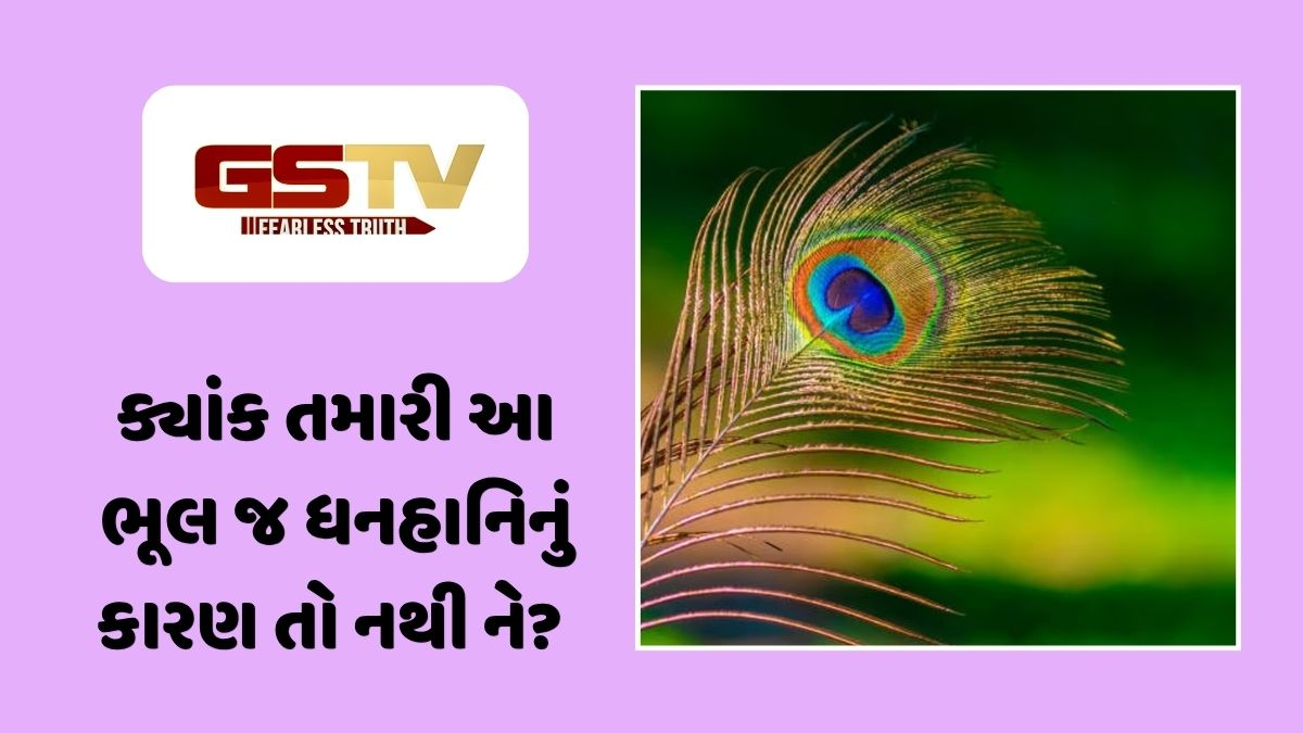 Vastu Tips : ઘરમાં આ 5 જગ્યાએ ભૂલથી પણ મોરના પીંછા ન રાખો, નહીંતર ભોગવવું પડશે મોટું આર્થિક નુકસાન!