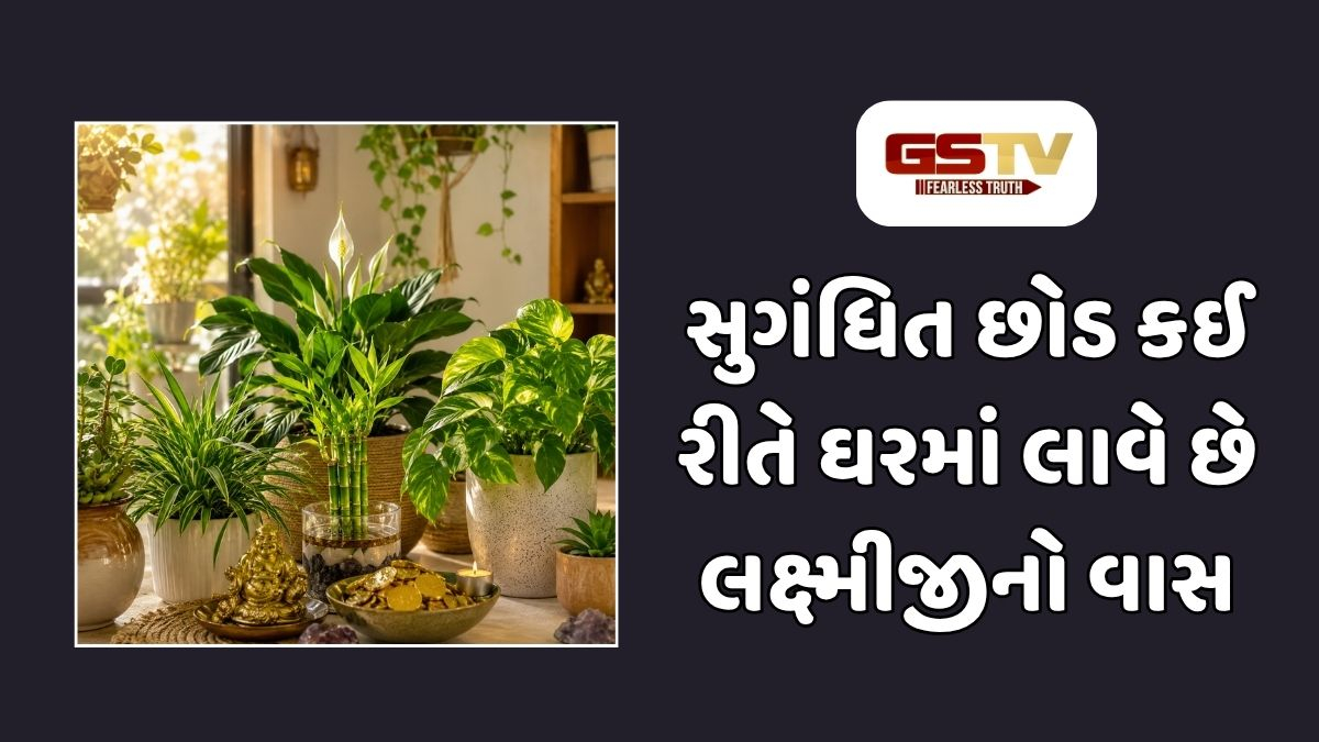 Sahiyar : ઘરની સજાવટ સાથે ભાગ્યોદય: કયા છોડ લાવે છે આર્થિક સમૃદ્ધિ અને પોઝિટિવ એનર્જી