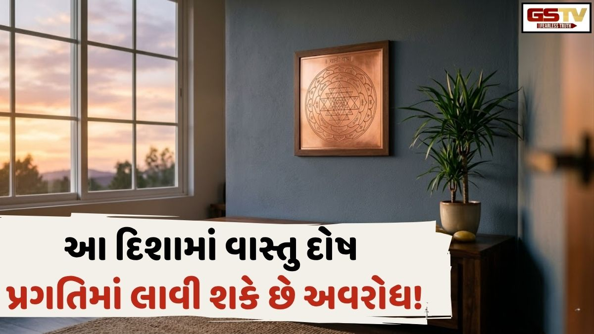 Vastu Tips: આ દિશામાં વાસ્તુ દોષ રોકી શકે છે ઘરની પ્રગતિ! જાણો ત્યાં શું રાખવું અને શું ન રાખવું