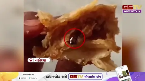 VIDEO: વડોદરા શહેરમાં ખાદ્ય પદાર્થોની ગુણવત્તાને લઈને સામે આવ્યા ચોંકાવનારા બનાવો