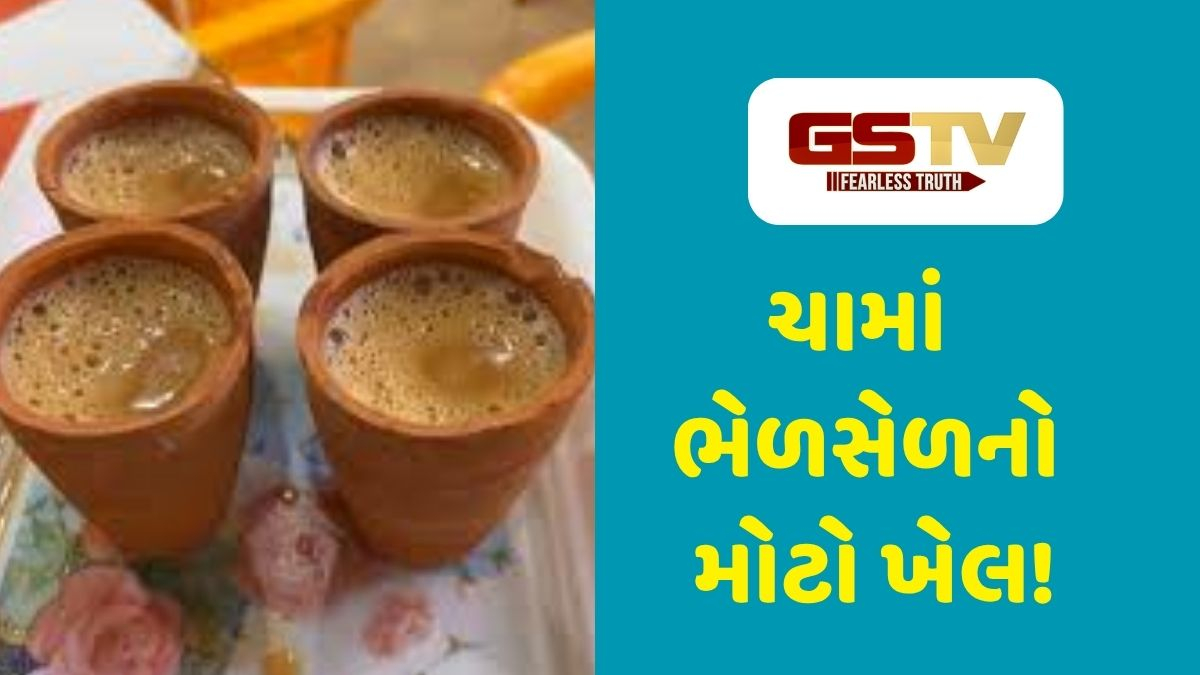 Shatdal : ચાના રસિયાઓ માટે ચોંકાવનારો ખુલાસો: ક્યાંક તમે ચાના નામે કચરો તો નથી પી રહ્યા ને?