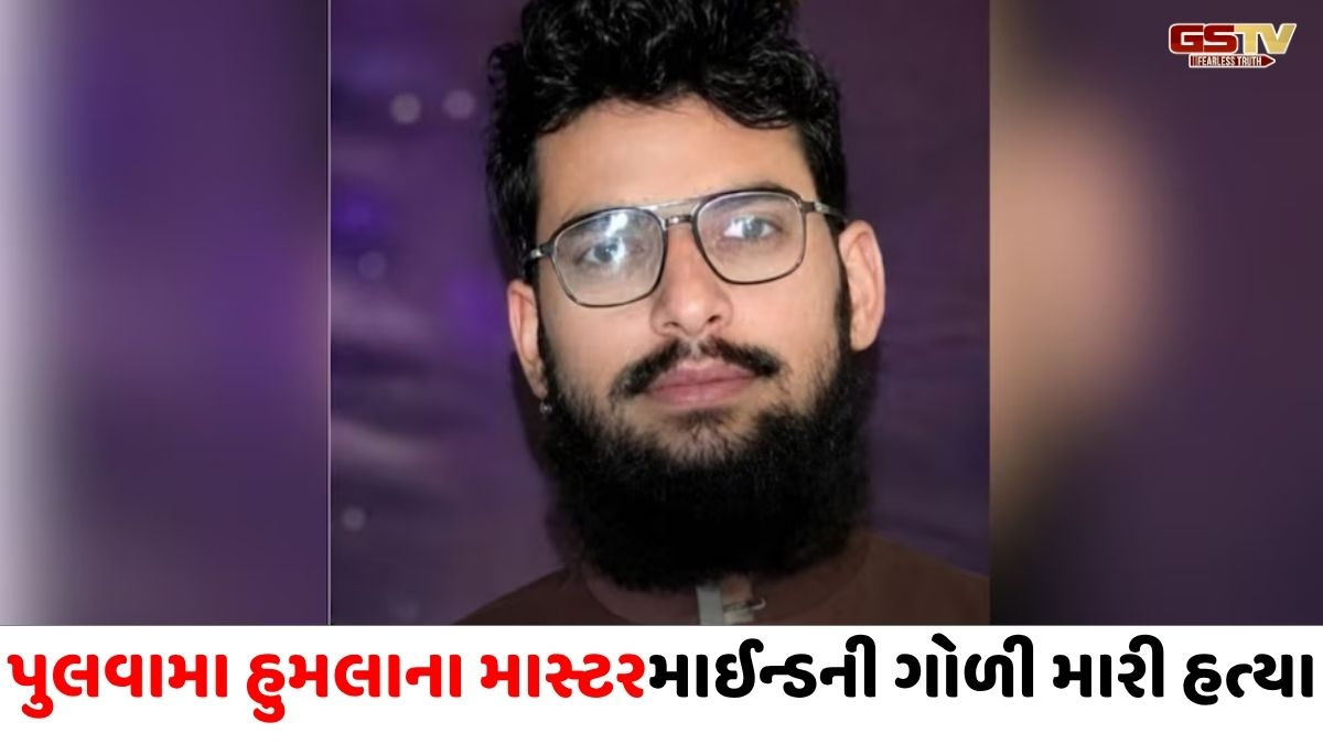 પુલવામા હુમલાનો માસ્ટરમાઇન્ડ આતંકી હમઝા બુરહાન પાકિસ્તાનમાં ઠાર, અજાણ્યા શખ્સે મારી ગોળી