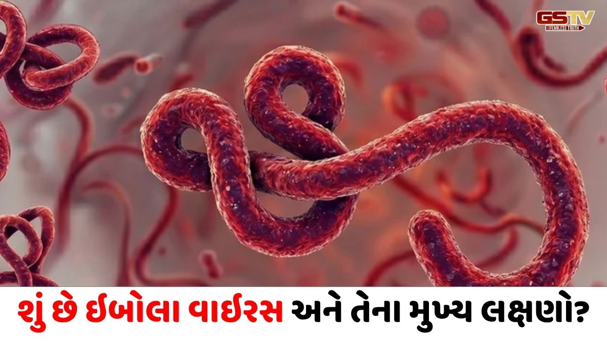 ભારતમાં ઇબોલાનો ખતરો? કેન્દ્ર સરકારે જાહેર કરી નવી હેલ્થ ગાઇડલાઇન્સ