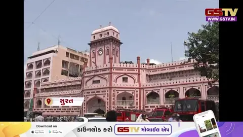 VIDEO: સુરતમાં તંત્રએ 5 વર્ષમાં રખડતા કુતરાઓના ખસીકરણ અને રસીકરણ પાછળ ખર્ચ્યા 7.20 કરોડ