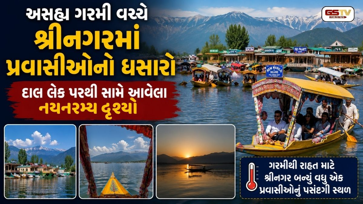 VIDEO: શ્રીનગરમાં પ્રવાસીઓની ભારે ભીડ, દાલ લેક ખાતે ખુશનુમા અને આહલાદક હવામાનની માણી મજા