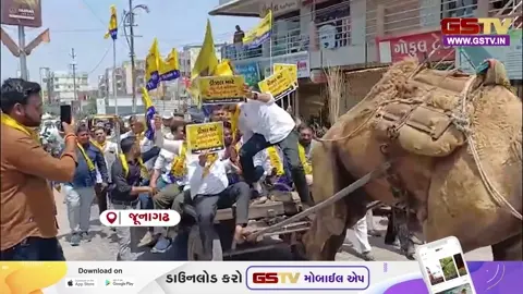 VIDEO: જૂનાગઢમાં ડીઝલની અછત મુદ્દે AAP આક્રમક મૂડમાં, ગોપાલ ઈટાલિયાએ અનોખી રીતે નોંધાવ્યો વિરોધ