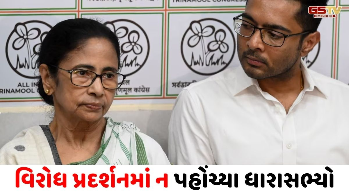 TMCમાં એકસાથે 16 નેતાઓના રાજીનામા, બંગાળમાં હાર બાદ મમતા બેનર્જીની પાર્ટી તૂટવા લાગી?