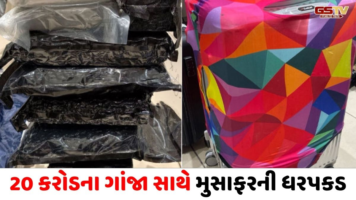 VIDEO : Ahmedabad એરપોર્ટ પરથી 20 કરોડથી વધુનો ગાંજો ઝડપાયો, બેંગકોકથી ડ્રગ્સ લઈને આવેલો પેસેન્જર જેલભેગો!