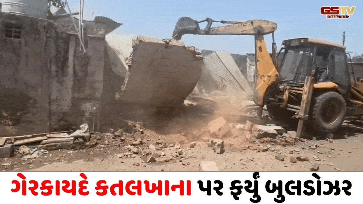 Ahmedabad/ ગેરકાયદે કતલખાના પર ફર્યું બુલડોઝર, દાણીલીમડામાં પોલીસ અને AMCની મોટી કાર્યવાહી
