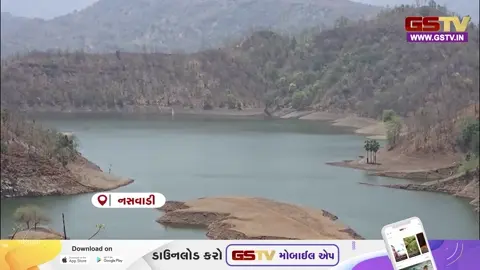 VIDEO: નસવાડીના પટુલી ફળિયામાં પાણી માટે હાહાકાર