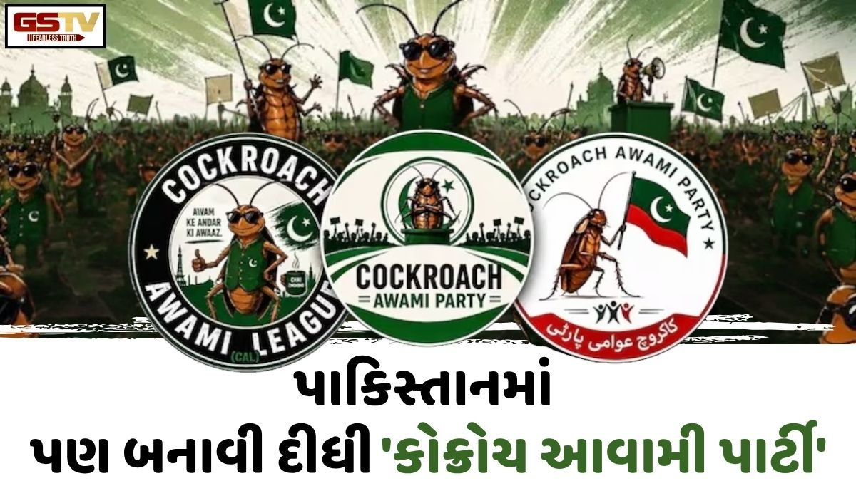 VIDEO: VIRAL/ લો બોલો... પાકિસ્તાને આમાં પણ ઉતારી ભારતની નકલ! બનાવી દીધી 'કોકરોચ આવામી પાર્ટી'