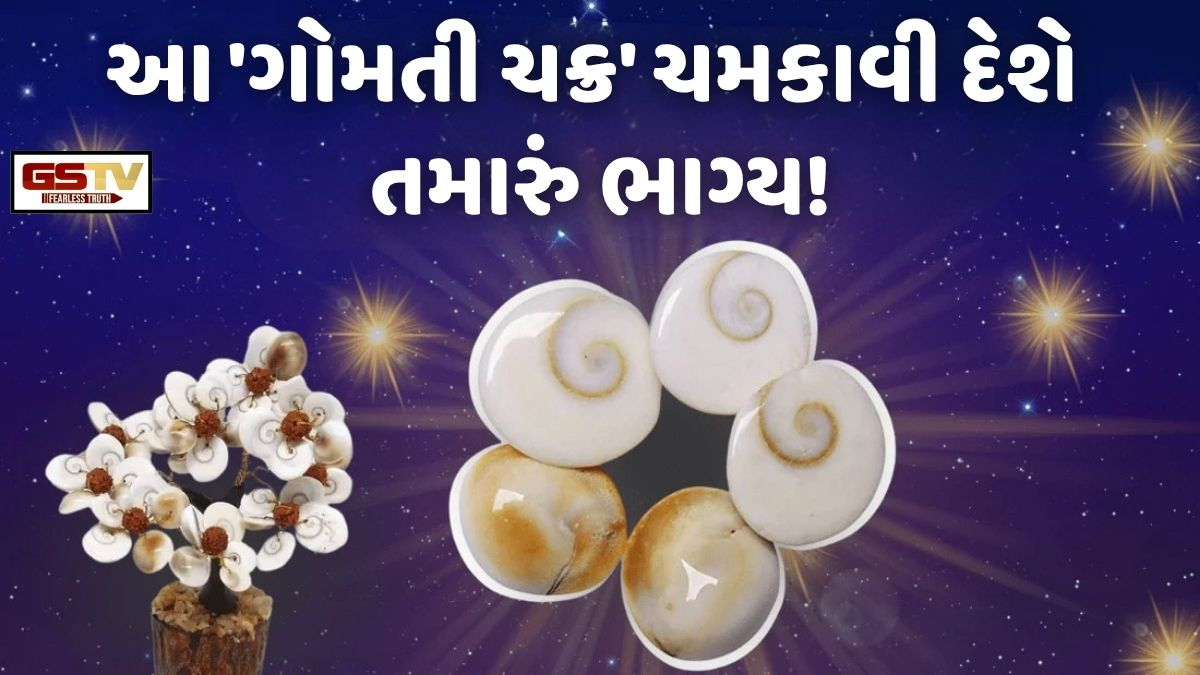 Religion: ઘરની આર્થિક તંગી અને નકારાત્મરતા કરશે દૂર! જાણો, 'ગોમતી ચક્ર'ના આ અદભુત ઉપાયો