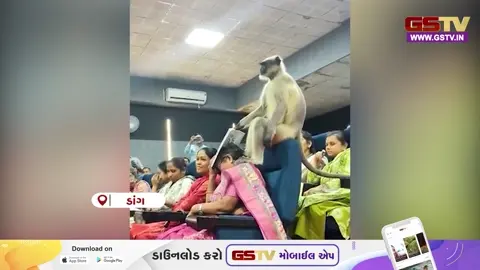 VIDEO: વઘઈમાં વસ્તી ગણતરી શીખવા આવ્યા વાનરરાજ! શિક્ષકો વચ્ચે અણધાર્યા મહેમાનની એન્ટ્રીથી હાસ્યનું મોજું