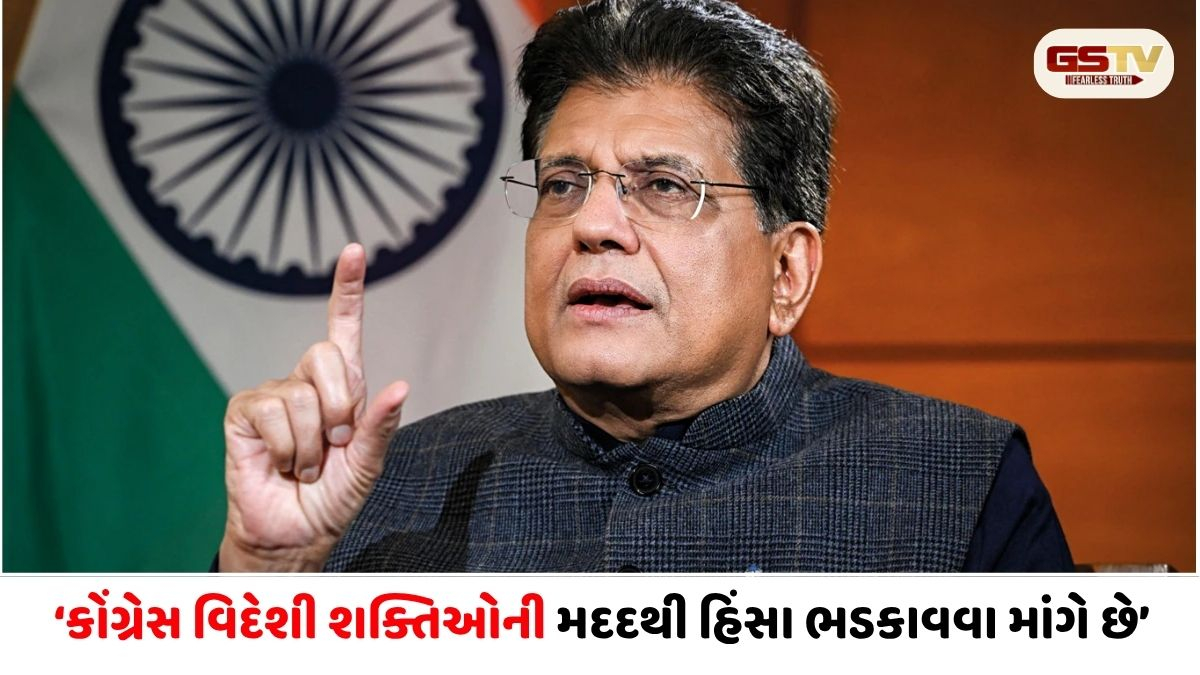 'લોકશાહીની લડાઈમાં હાર્યા એટલે વિદેશી શક્તિઓની મદદથી દેશમાં હિંસા ભડકાવવાનું કાવતરું', પીયૂષ ગોયલનો કોંગ્રેસ પર ગંભીર આરોપ