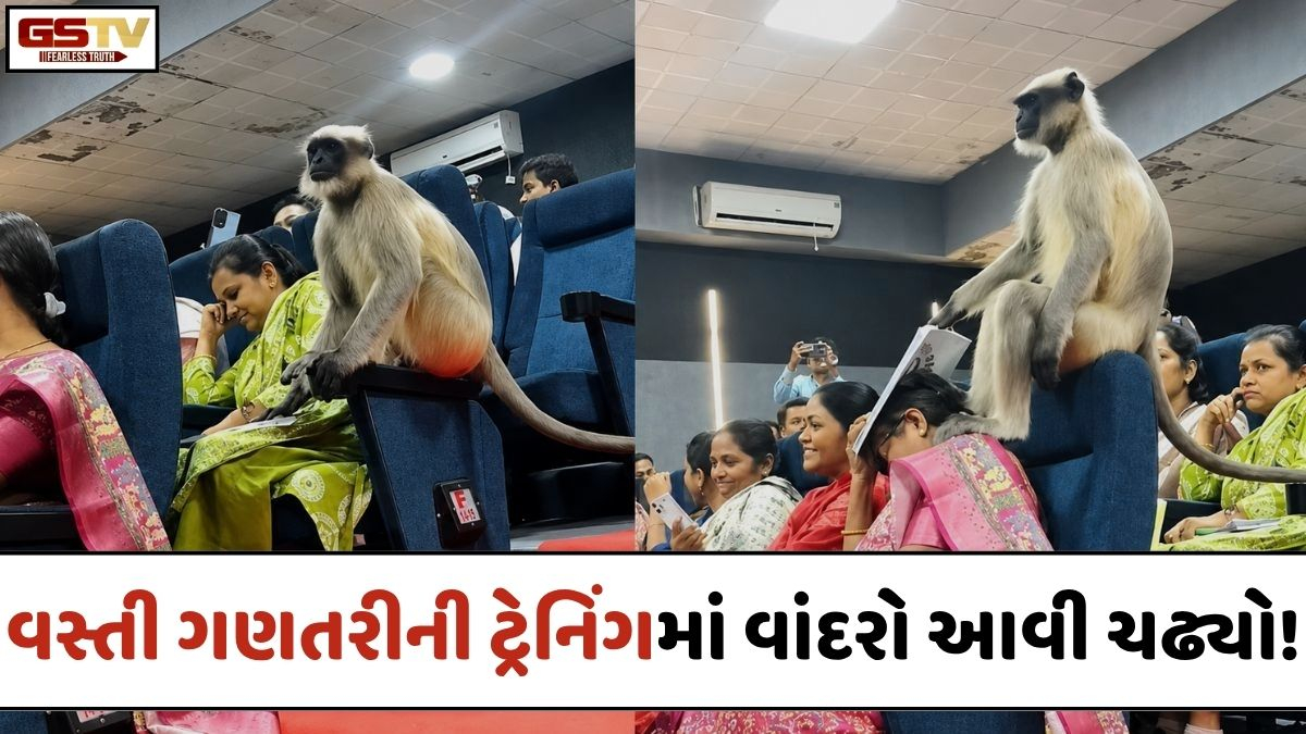 VIRAL VIDEO: શિક્ષકોને અપાતી વસ્તી ગણતરીની ટ્રેનિંગમાં વાંદરો આવી ચઢ્યો!