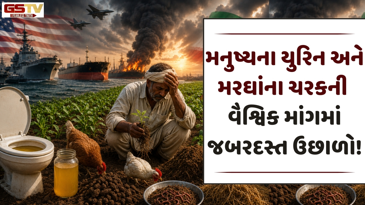 વૈશ્વિક યુદ્ધની વિચિત્ર અસર; વિશ્વભરમાં વધી રહી છે મનુષ્યના યુરિન અને મરઘાંના ચરકની માંગ! 