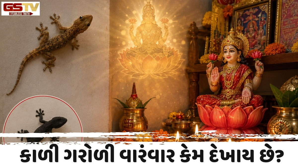 Religion: સાવધાન! ઘરમાં આ એક રંગની ગરોળી દેખાય તો સમજો રાહુ નબળો છે, ભવિષ્યમાં આવી શકે છે મોટું આર્થિક સંકટ!