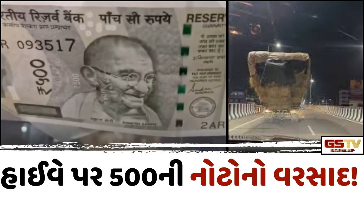 VIRAL VIDEO: હાઈવે પર 500ની નોટોનો વરસાદ!