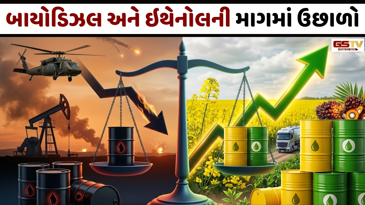 Business Plus: ઈરાન યુદ્ધના પગલે બાયોડિઝલની માગ વધતાં ખાદ્યતેલોના બજારમાં સિનારીયો બદલાયો