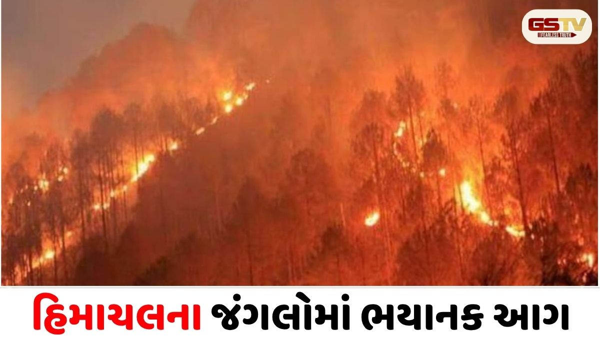 VIDEO/ હિમાચલના જંગલોમાં ભયાનક આગ, સોલનમાં ઊંચી જ્વાળાઓ અને ધુમાડાના ગોટેગોટા