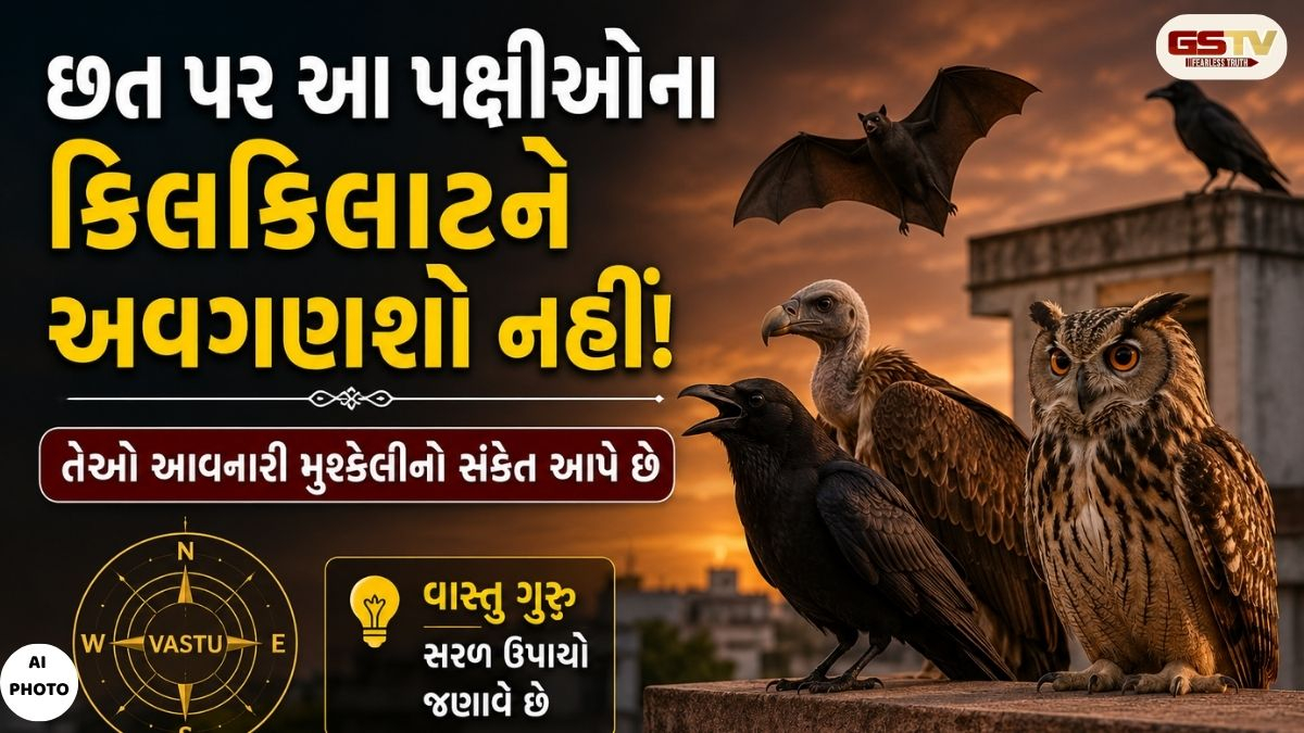 Vastu tips/ સાવધાન! ઘરની છત પર આ પક્ષીઓનું આવવું મોટી મુશ્કેલીની છે નિશાની