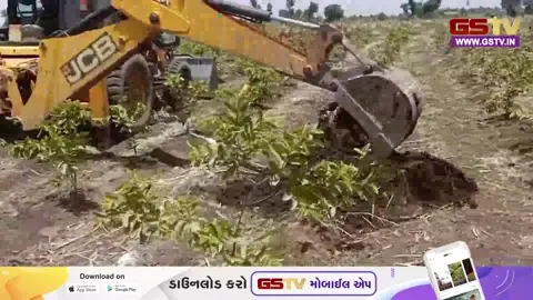 VIDEO: ANDAR NI VAAT/ વિકાસના નામે ખેડૂતો પર દાદાગીરી? મંજૂરી વગર ખેતરમાં જઈને પાકને પહોંચાડ્યું નુકસાન