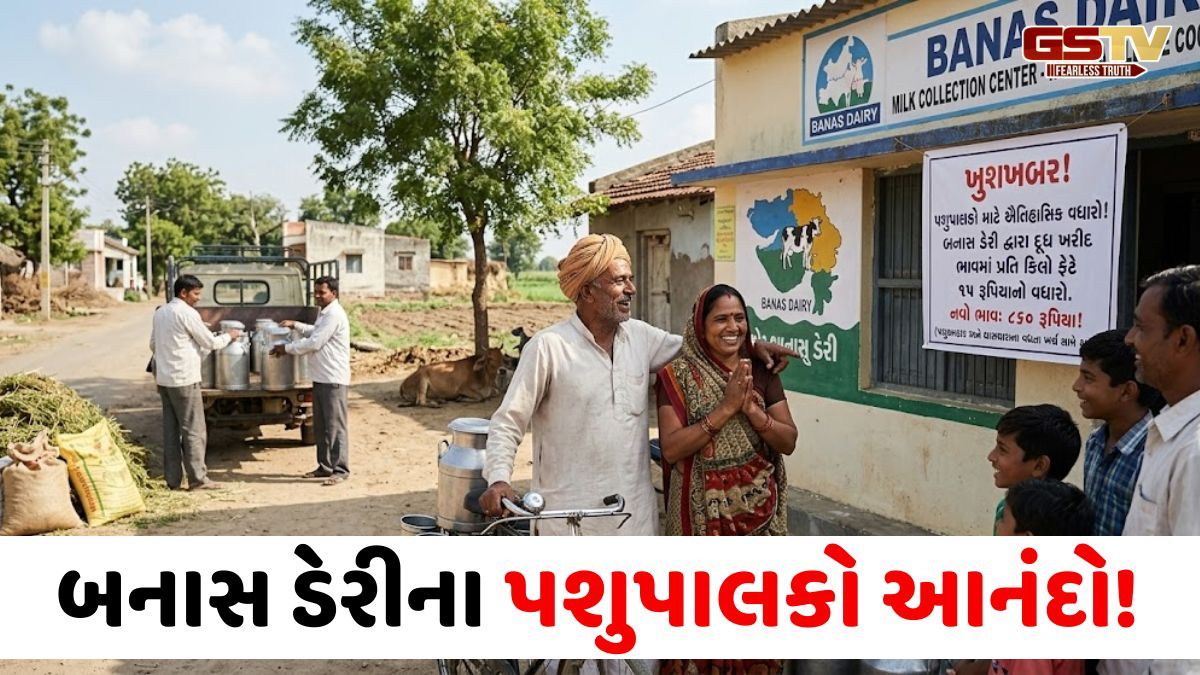 VIDEO: બનાસ ડેરીએ દૂધના ખરીદ ભાવ કર્યો વધારો, પશુપાલકોના હિતમાં લેવાયો નિર્ણય