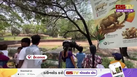 VIDEO : વનરક્ષકોની પ્રશંસનીય કામગીરી: કાળઝાળ ગરમી વચ્ચે ઝૂમાં વન્યજીવો માટે ઠંડકભરી વ્યવસ્થા