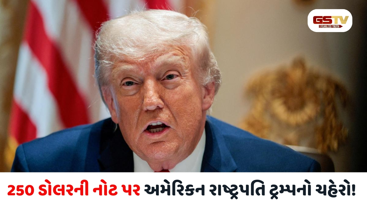 અમેરિકામાં ટ્રમ્પની છબી ધરાવતા 250 ડોલરની નોટ છાપવાની તૈયારીઓ! નવા પ્રસ્તાવથી હોબાળો મચ્યો