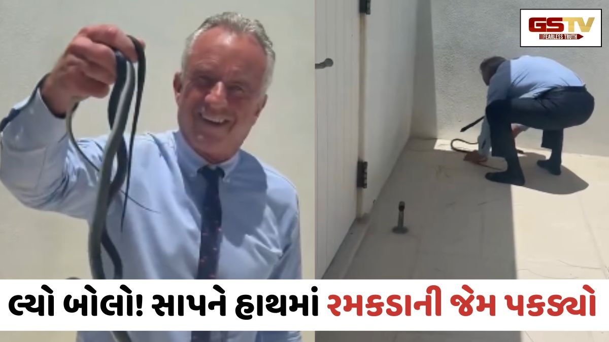 VIRAL VIDEO: સાપને હાથમાં રમકડાની જેમ પકડ્યો, વીડિયો જોઈને તમે પણ દંગ રહી જશો!