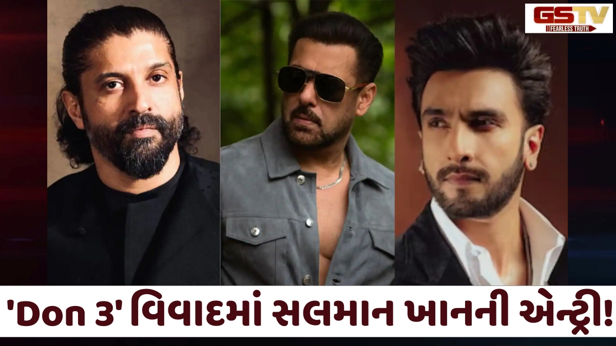 'Don 3' વિવાદમાં Salman Khanની એન્ટ્રી! Ranveer Singh અને Farhan Akhtar વચ્ચે 'ભાઈજાન' બન્યા મધ્યસ્થી