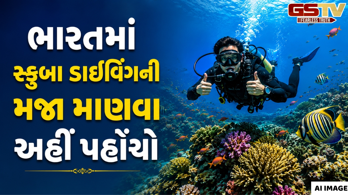 VIDEO: સ્કુબા ડાઇવિંગ માટે બેસ્ટ છે આ ભારતીય સ્થળો, ઓછા ખર્ચે માણી શકો છો થાઇલેન્ડના રોમાંચનો અનુભવ
