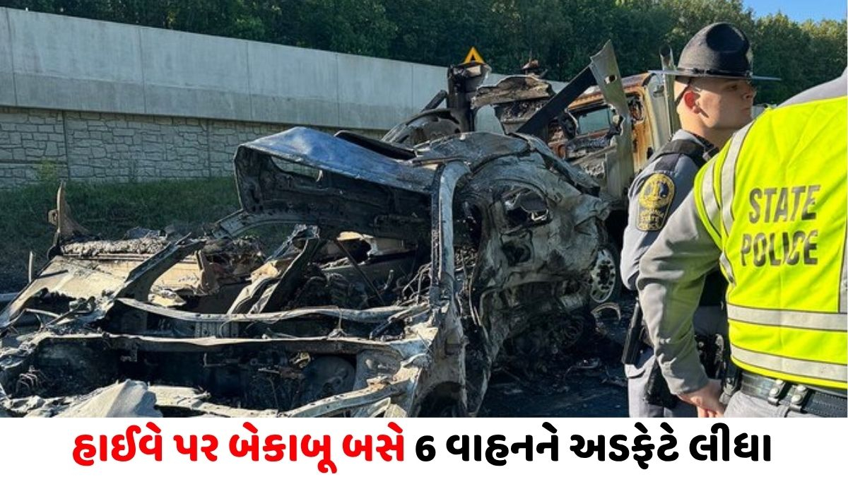 US/ ટ્રાફિક જામમાં ઉભેલી ગાડીઓ પર ફરી વળી બસ: વર્જિનિયામાં સર્જાયેલા અકસ્માતમાં 5ના મોત, 34 ઈજાગ્રસ્ત