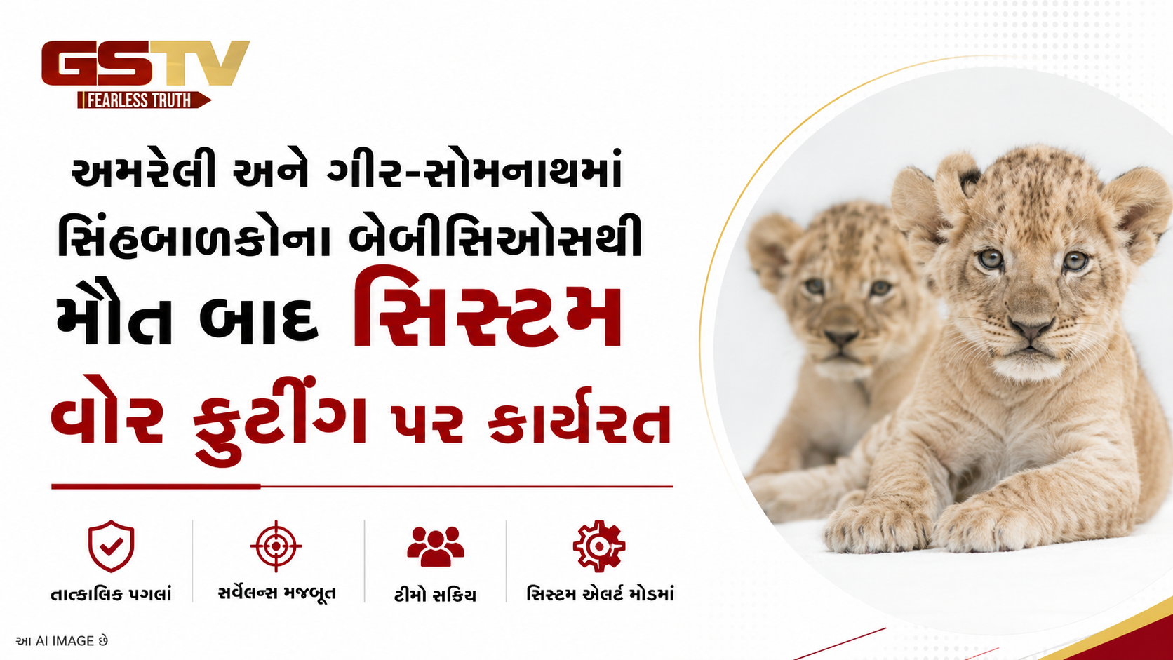 VIDEO: અમરેલી અને ગીર-સોમનાથ બેબેસિયોસથી થયેલા સિંહબાળના મોત બાદ યુદ્ધના ધોરણે તંત્ર કામે લાગ્યું