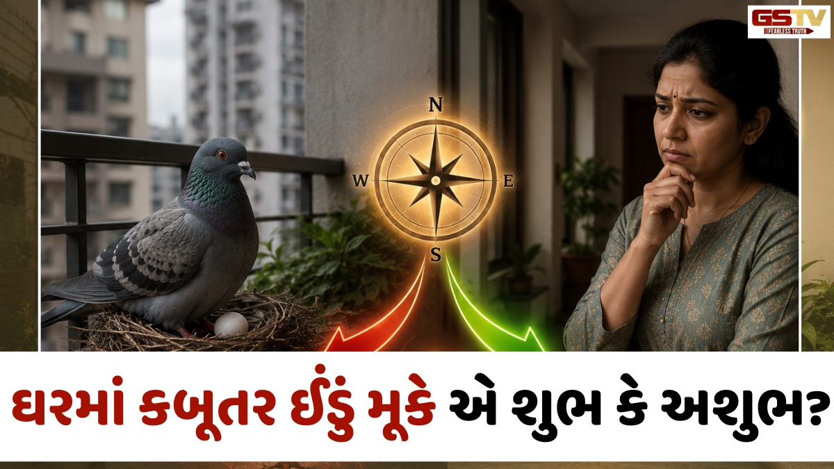 Religion: બાલ્કનીમાં કબૂતરે ઈંડું મૂક્યું છે તો સાવધાન! આ દિશામાં માળો હોવો બદલી શકે છે તમારી આર્થિક સ્થિતિ