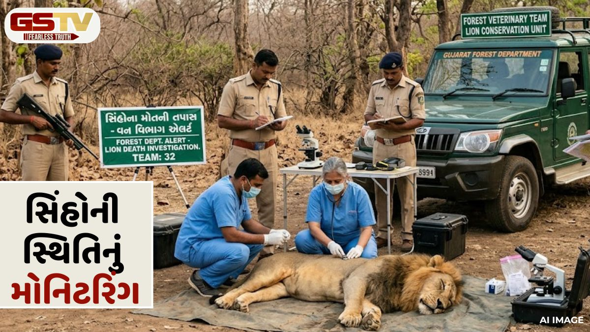 VIDEO: સિંહોના મોત મામલે વન વિભાગ એલર્ટ, 32 સભ્યોની ટીમ તપાસમાં લાગી
