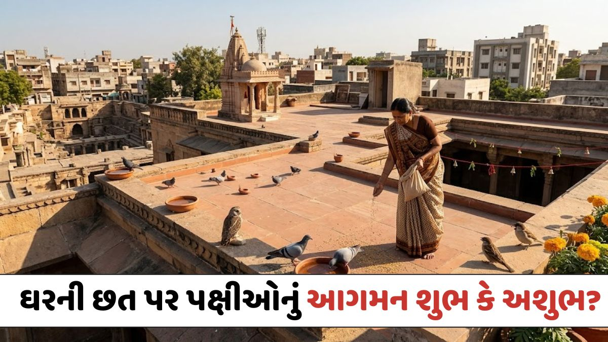 Religion: ઘરની છત પર પક્ષીઓનું આગમન શુભ કે અશુભ? જાણો વાસ્તુશાસ્ત્રના આ ચોંકાવનારા સંકેતો